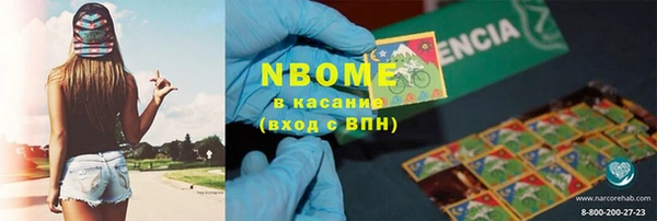 стаф Арсеньев