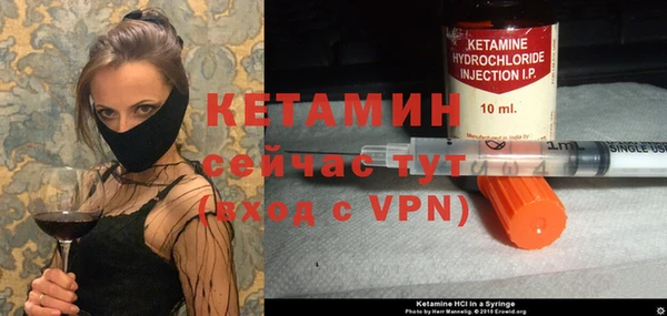 стаф Арсеньев