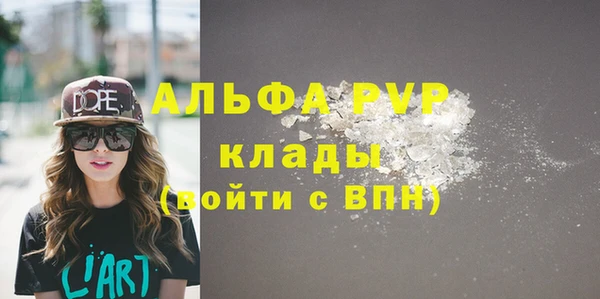 стаф Арсеньев