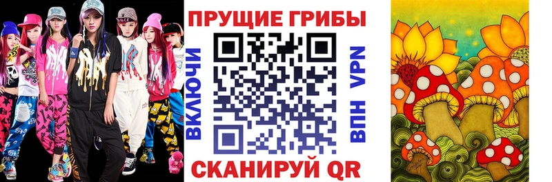 маркетплейс официальный сайт  Галич  Галлюциногенные грибы Cubensis  где можно купить  
